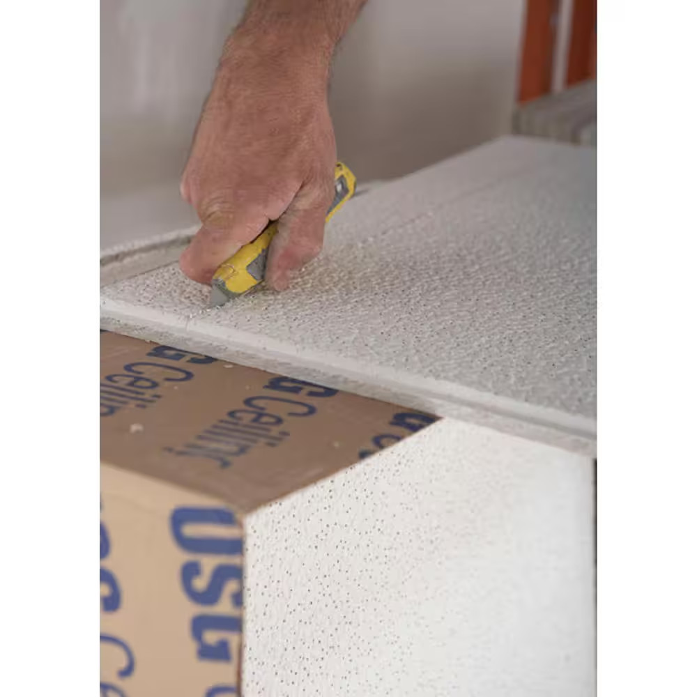 2 Ft. X 2 Ft. Radar Basic White Square Edge Lay-In Ceiling Tile, Case of 16 (…