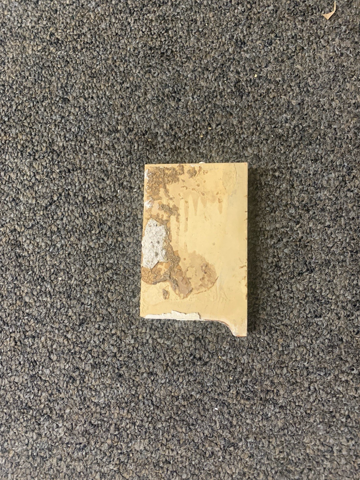 MCM Brown Ceramic Wall Edge Corner Tile 4 1/8″ x 2 7/8″