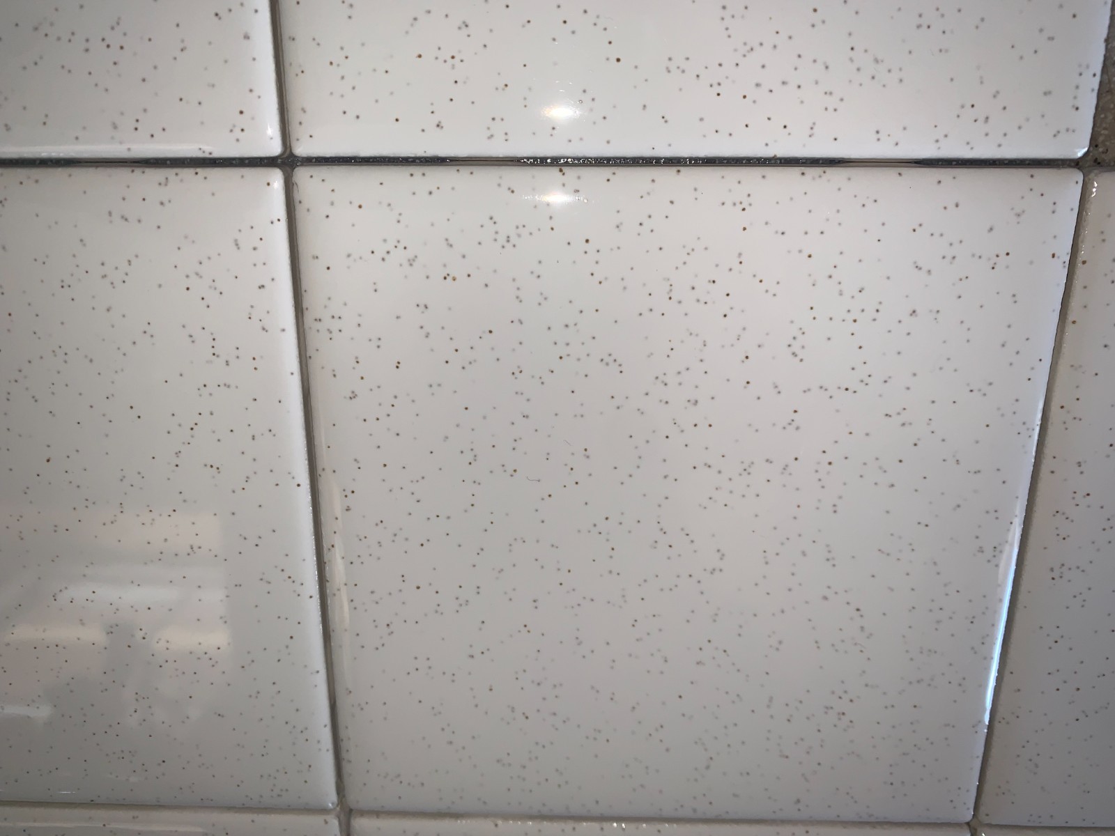 American Olean / Dal Tile 4 1/4″ Ceramic Tile White w/ Black Speckled Speckles