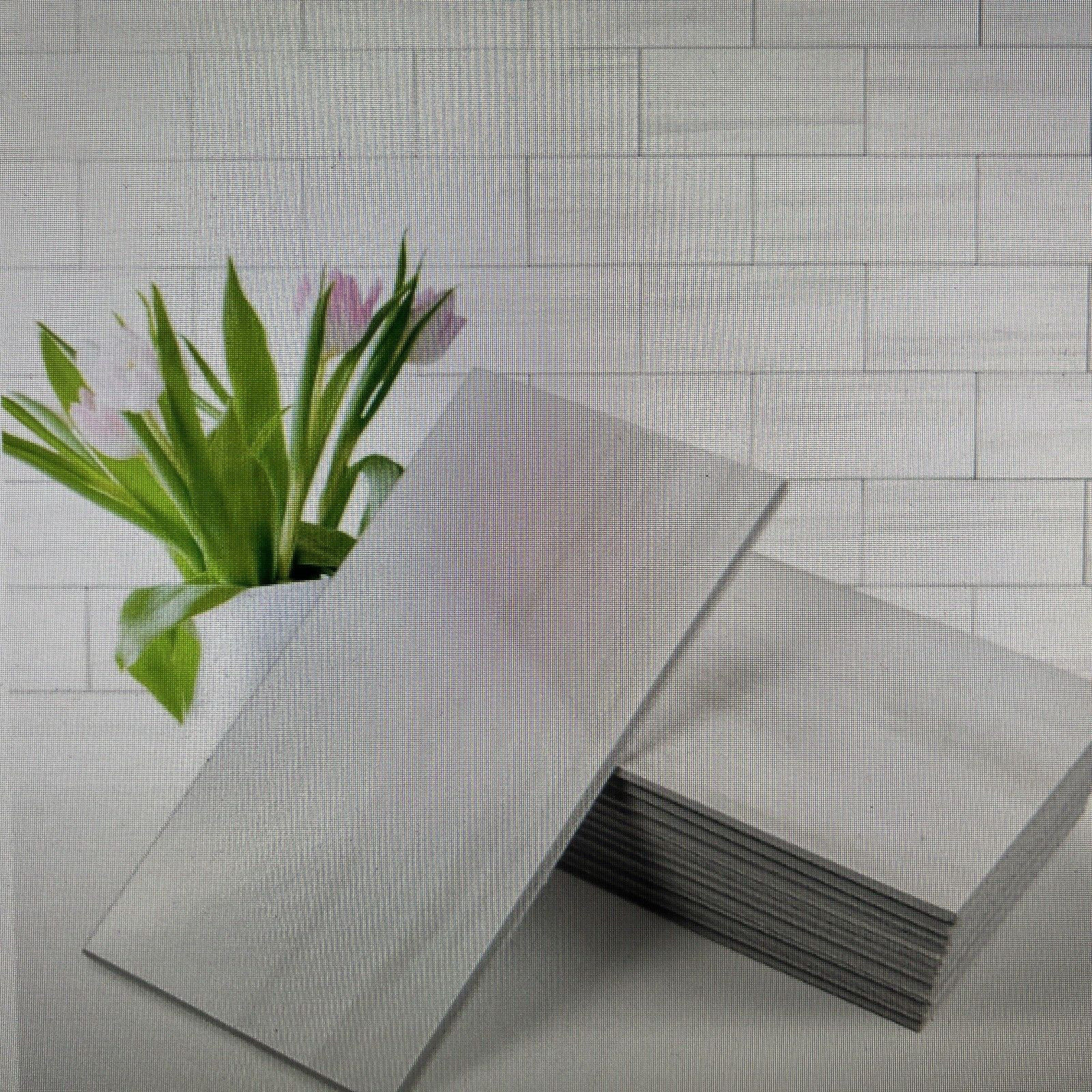 Tile PeelBacksplash and Stick3 Vamos Tile 100-Piece Glossy Dolomite White