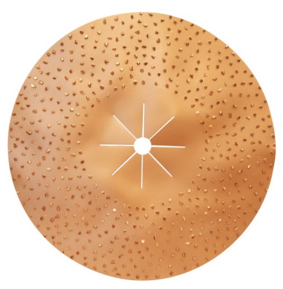 Pearl Abrasive 16″ Double Sided Tungsten Carbide Sanding Disc, 8 Grit