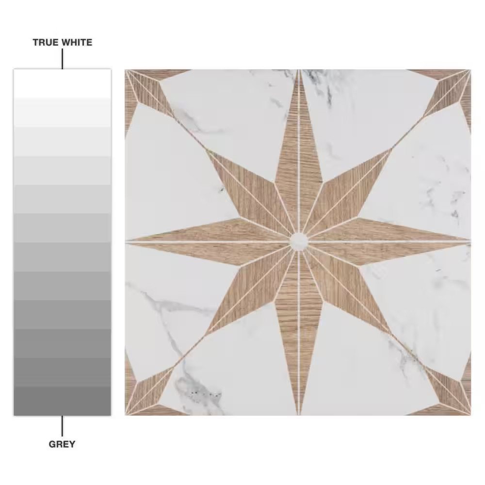 Llama Stella Loire Noce 9-3/4 In. X 9-3/4 In. Porcelain Floor and Wall Tile (10.