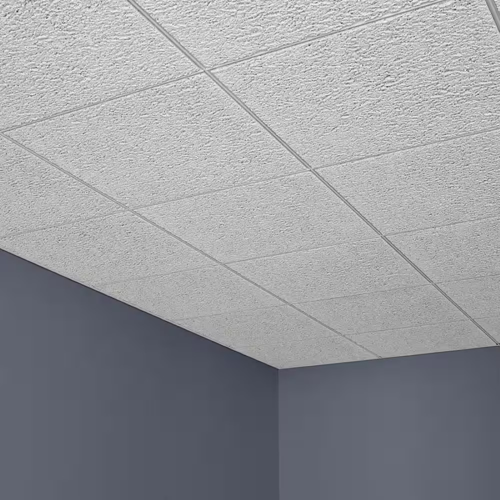 2 Ft. X 2 Ft. Glacier White Fineline Edge Lay-In Ceiling Tile, Case of 8 (32 Sq.