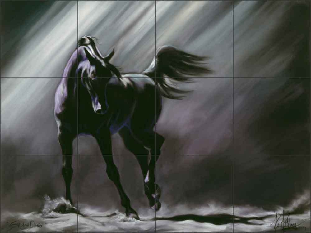 Ceramic Tile Mural Backsplash McElroy Horse Equine Shadow Dancer Art KMA013