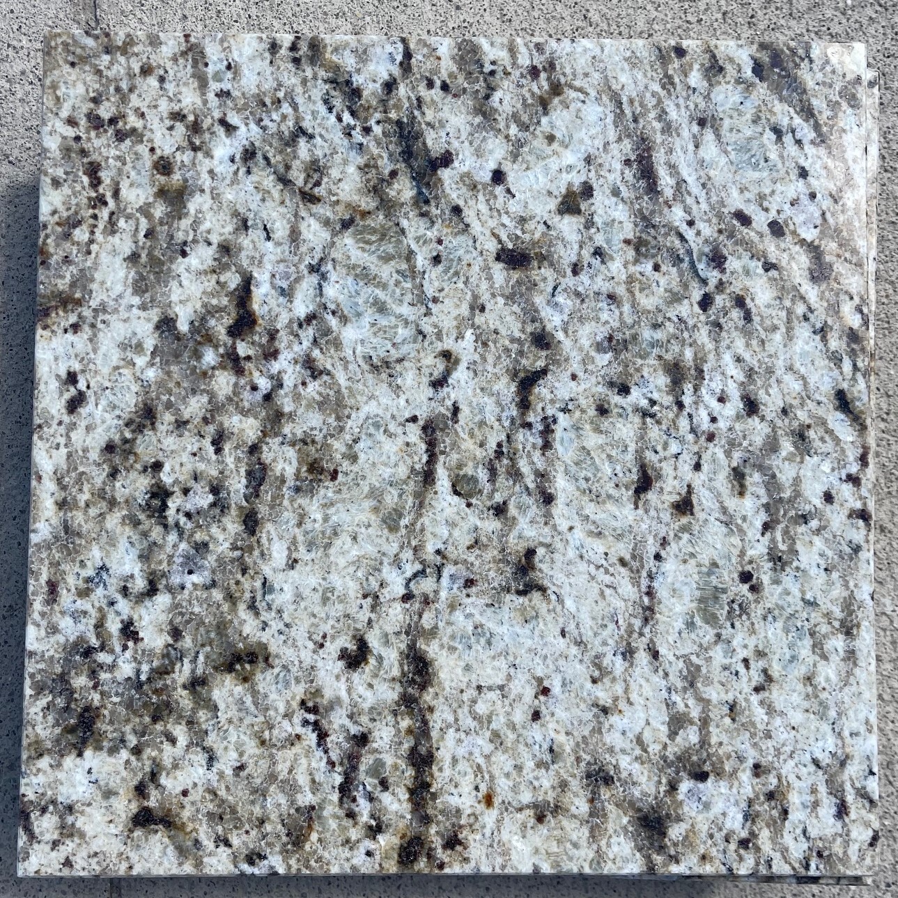 Tile Granite Natural Stone Giallo Ornametal Floor Wall About 3×3 SAMPLE TS-15B