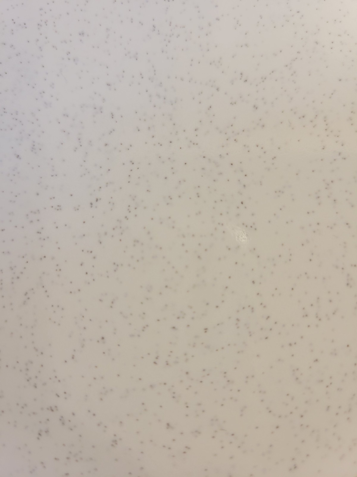 1 Tile FT Florida USA 4-3/8″ Gloss Black White Speckled Tile Salt & Pepper