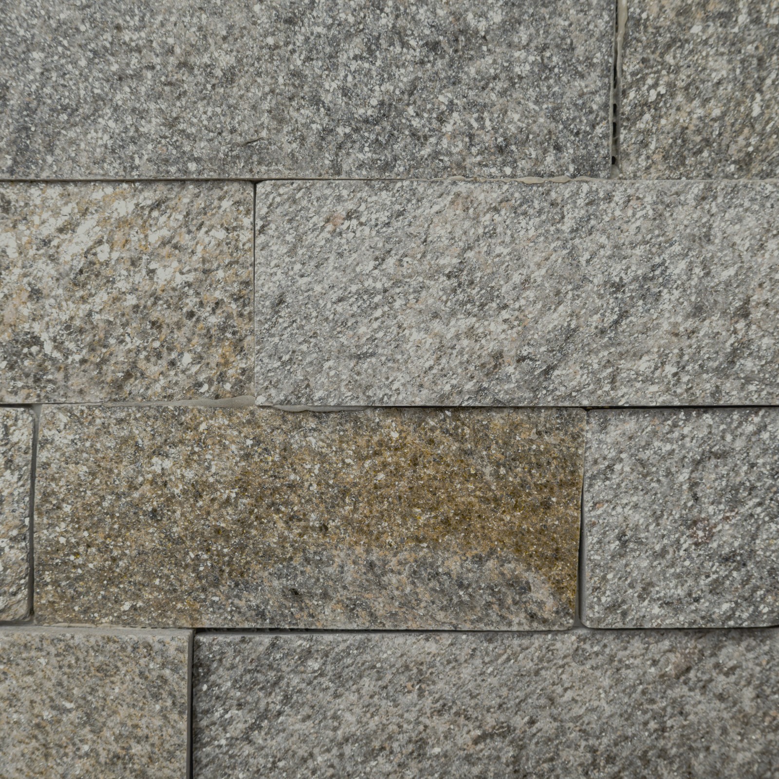 Ackland AKPLPQ6X18FCR-CA 6 in. x 18 in. Splitface Quartzite – Imperial White