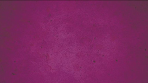 Fast Drying Concrete Stain-Professional-Easy to Use 100-150sq ft Violet