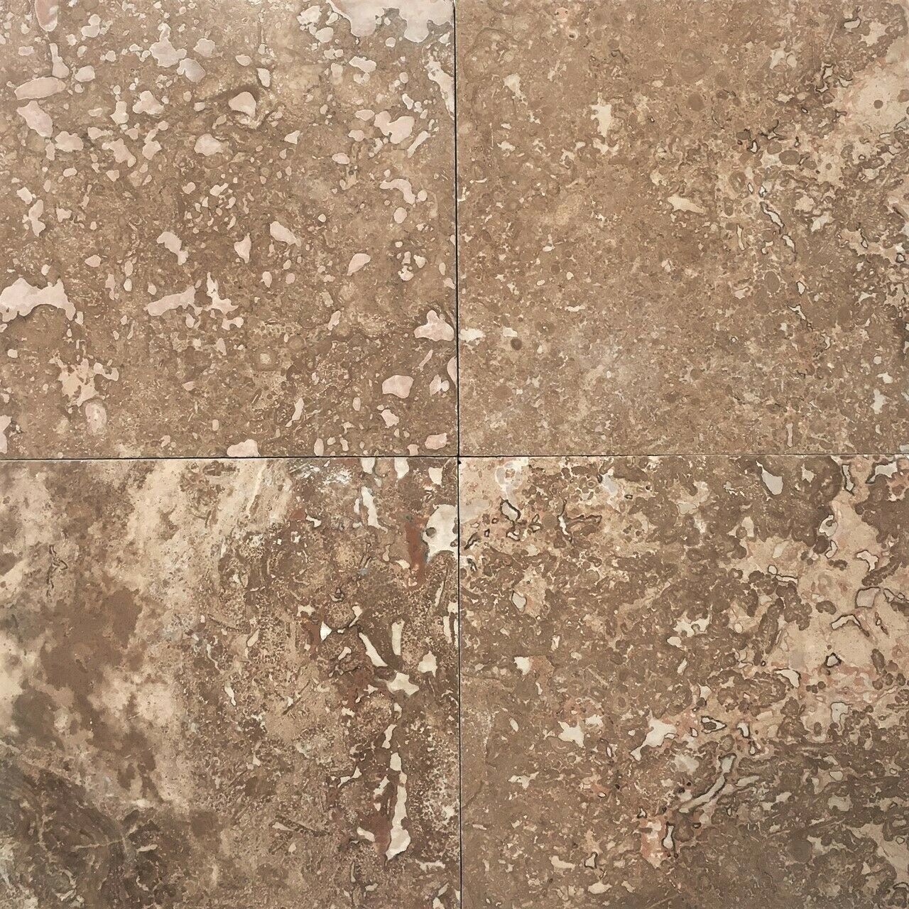 Noce 5 1/2 x 5 1/2 Filled Polished Travertine Tile Floor Wall (Sold per Piece)