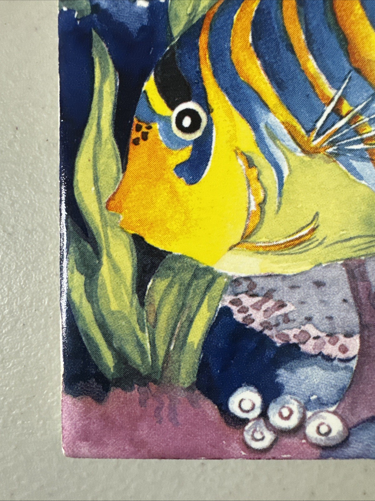 Jeffrey Court Fish N Coral Decorative Ceramic Tile Tropical Reef Coastal Art