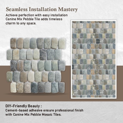 Canine Mix Natural Stone Mosaic Wall & Floor Tile ($17.01/SqFt)