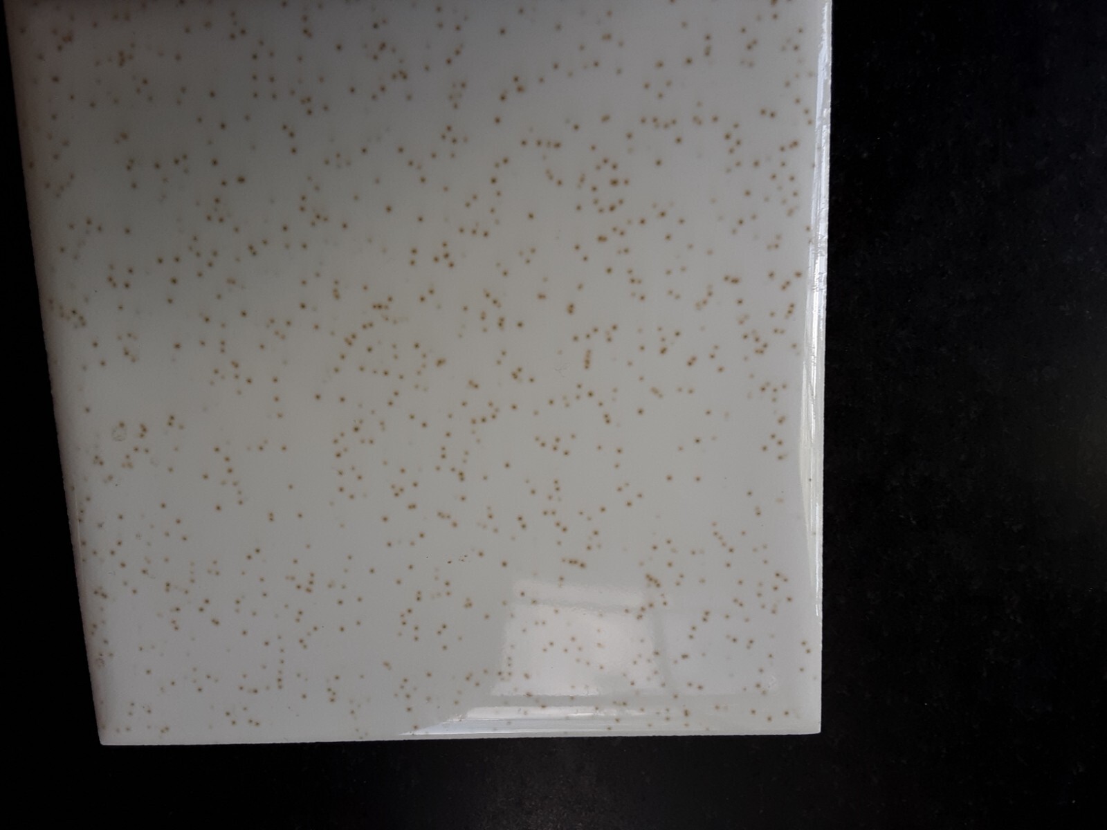 MTF Made in the USA Gloss Brown Speckles on Offwhite Ceramic Wall Tile  1960 new