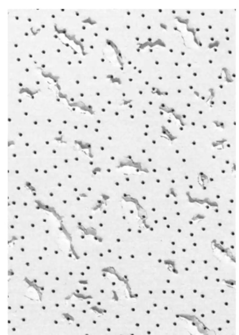 Acoustical Speckled Ceiling Tiles 24×48 Textured Tegular Drop-In 64 sq ft