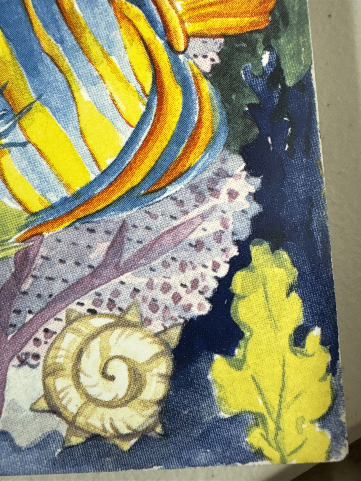 Jeffrey Court Fish N Coral Decorative Ceramic Tile Tropical Reef Coastal Art
