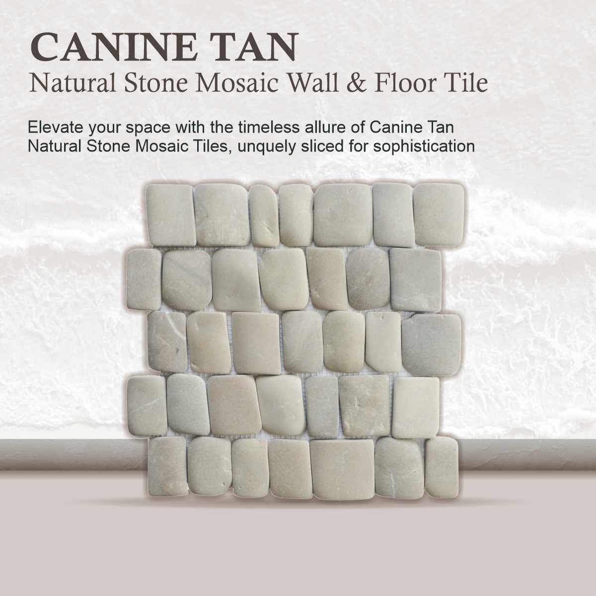 Canine Tan Natural Stone Mosaic Wall & Floor Tile ($16.8/SqFt)