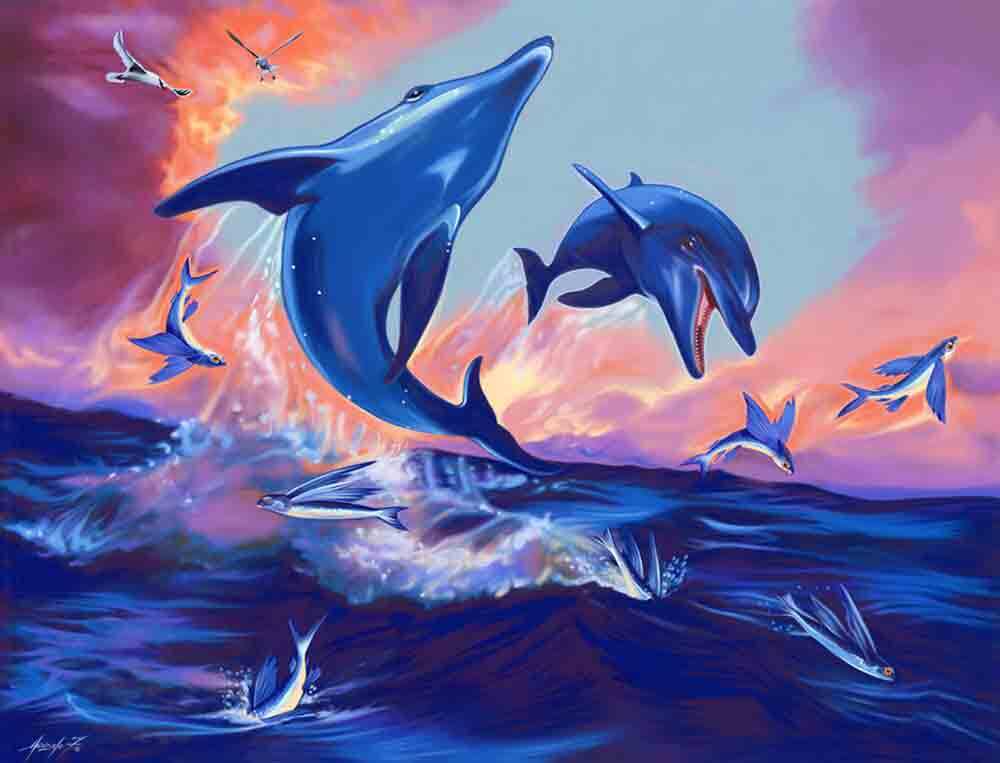 Dolphin Accent & Decor Tile Fernando Agudelo Undersea Sea Life Art FAA024AT
