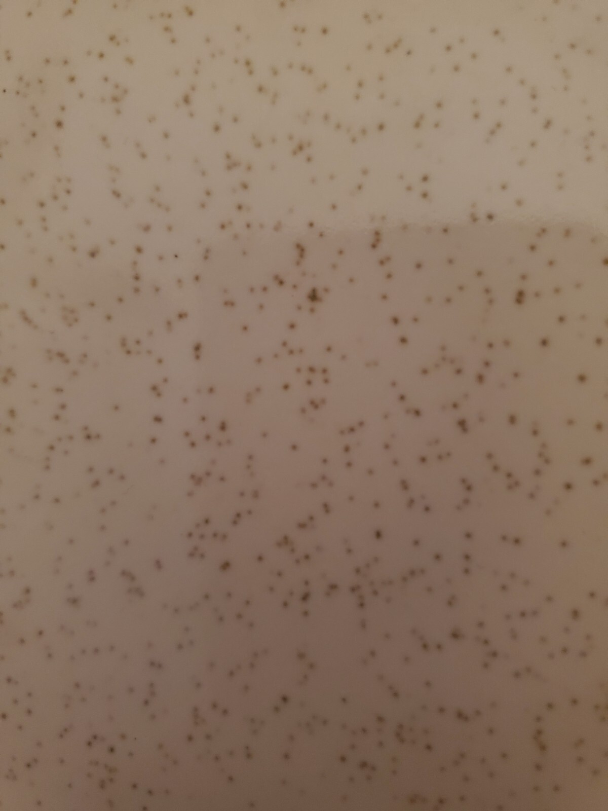 1 Vintage Robertson Oatmeal Gold Tan Speckled 4-1/4″ Square Ceramic Wall Tile.
