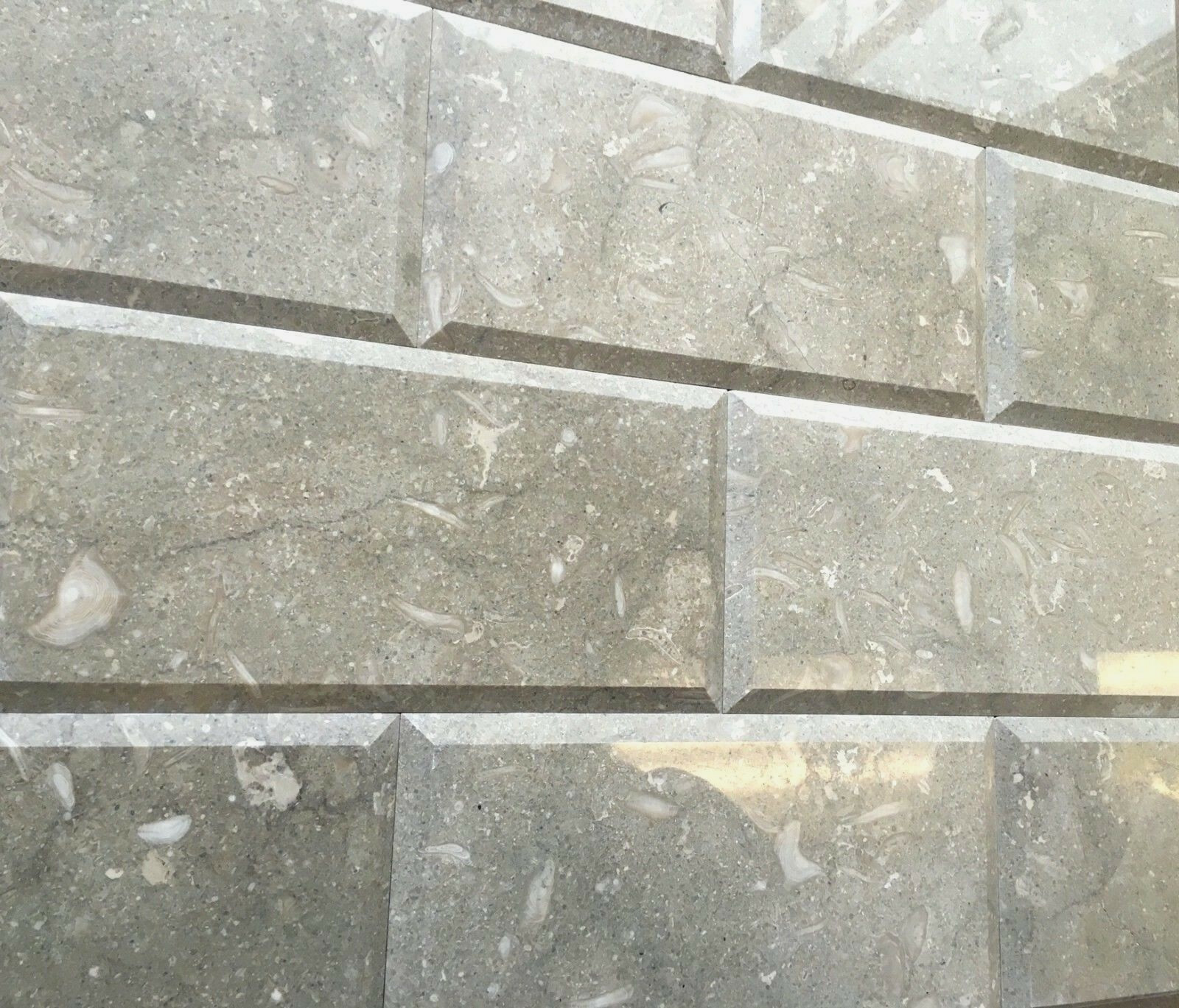 6×12 Seagrass Limestone Polished and Beveled Backsplash Wall Tile Kitchen Bath