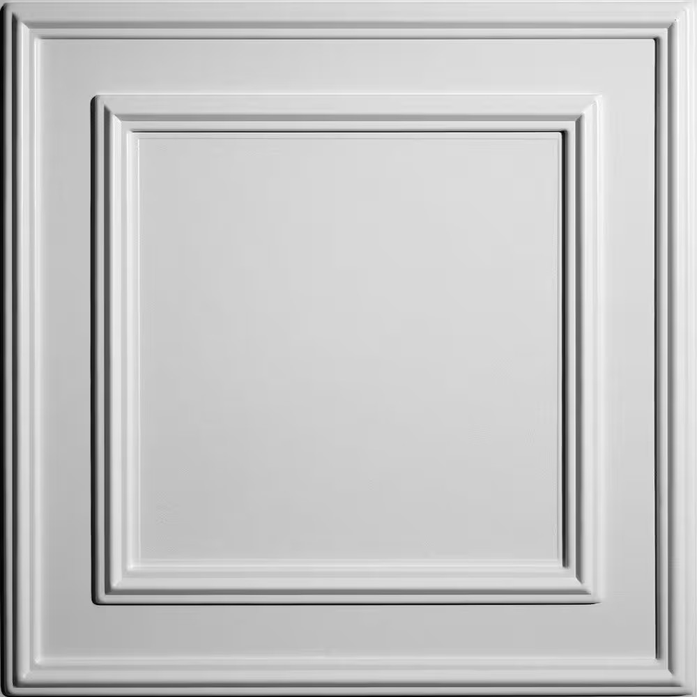 Cambridge White 2 Ft. X 2 Ft. Lay-In or Glue-Up Ceiling Panel (Case of 6)