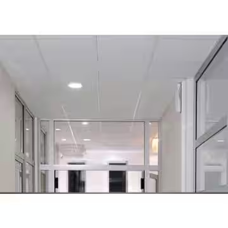 2 Ft. X 4 Ft. Lay-In Plastic Ceiling Panel (32 Sq. Ft. / Case)