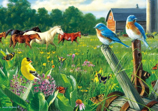 country farm horses spring birds in meadow garden ceramic tile mural backsplash