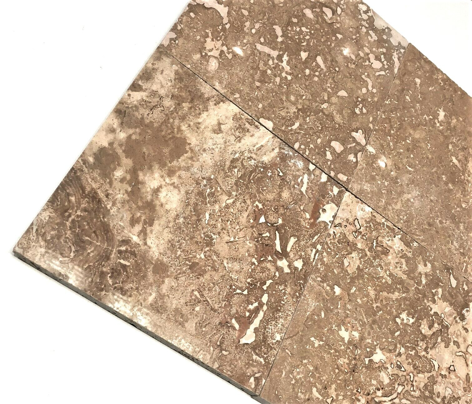 Noce 5 1/2 x 5 1/2 Filled Polished Travertine Tile Floor Wall (Sold per Piece)