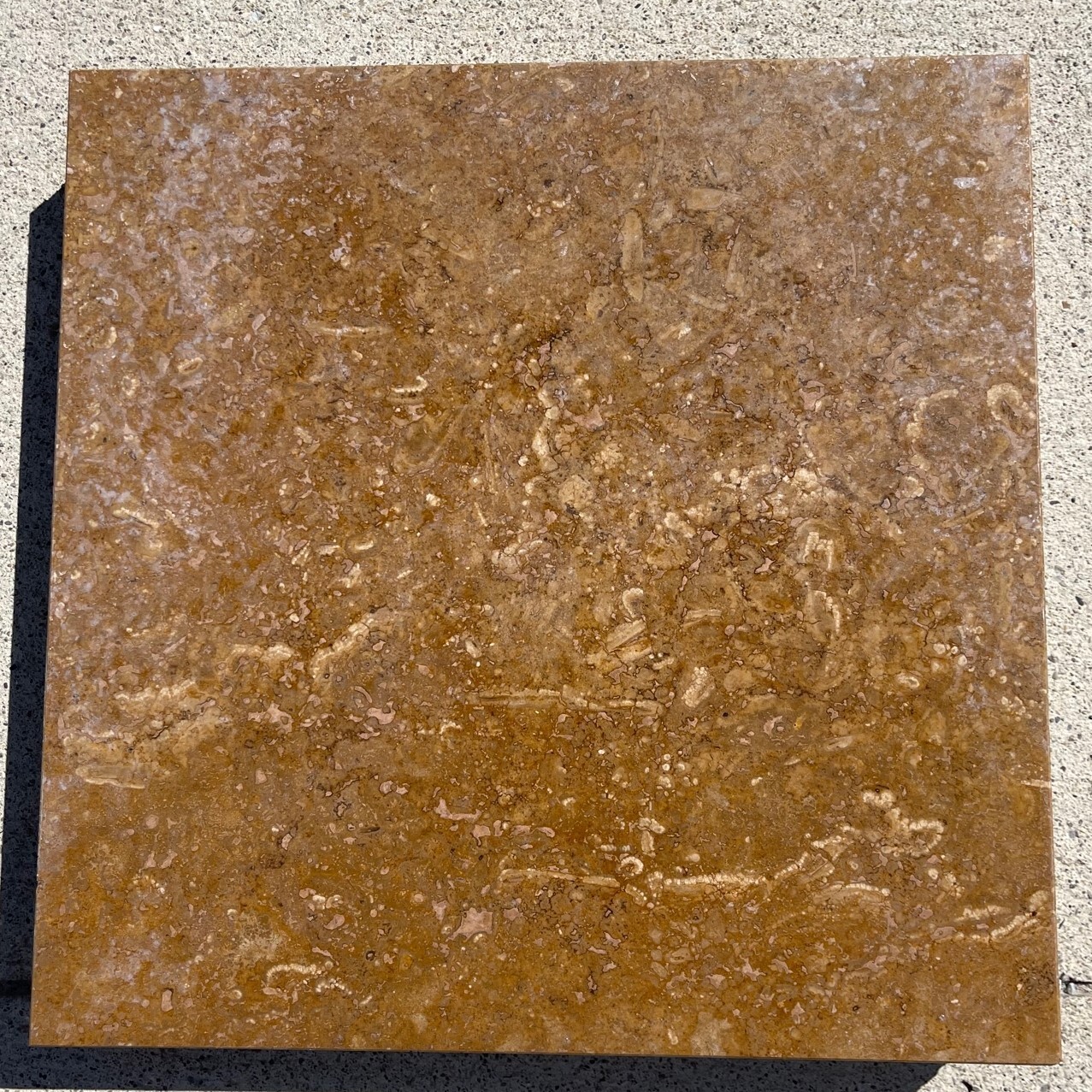 Chocolate Brown 12×12 Tile Marble Stone Floor Wall Remodel crate 200 SQ FT T-27B