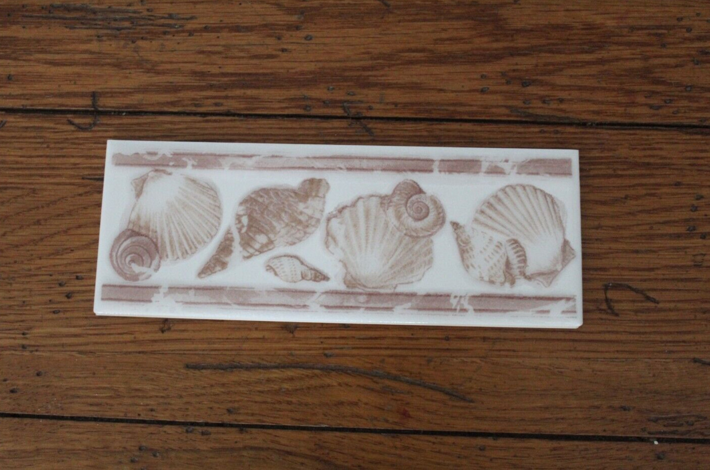 8″ x 3″ Decorative Wall Border Tile Shells Russet Tan & White Each Ceramic