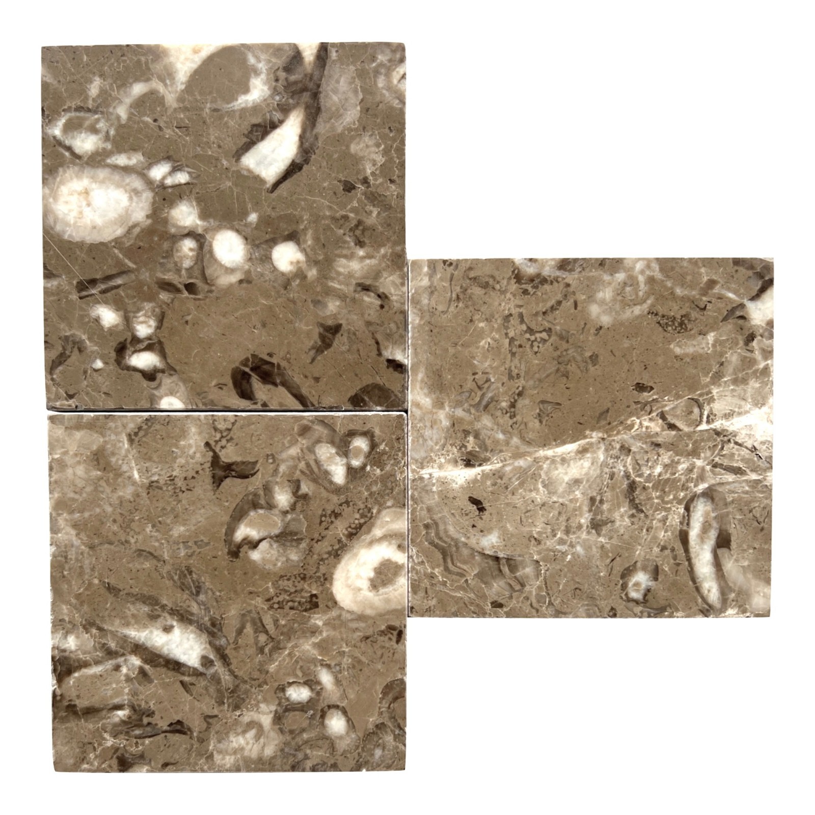 Fossil Brown 4×4 Polished Marble Floor Wall Tile Kitchen – Drink Coaster