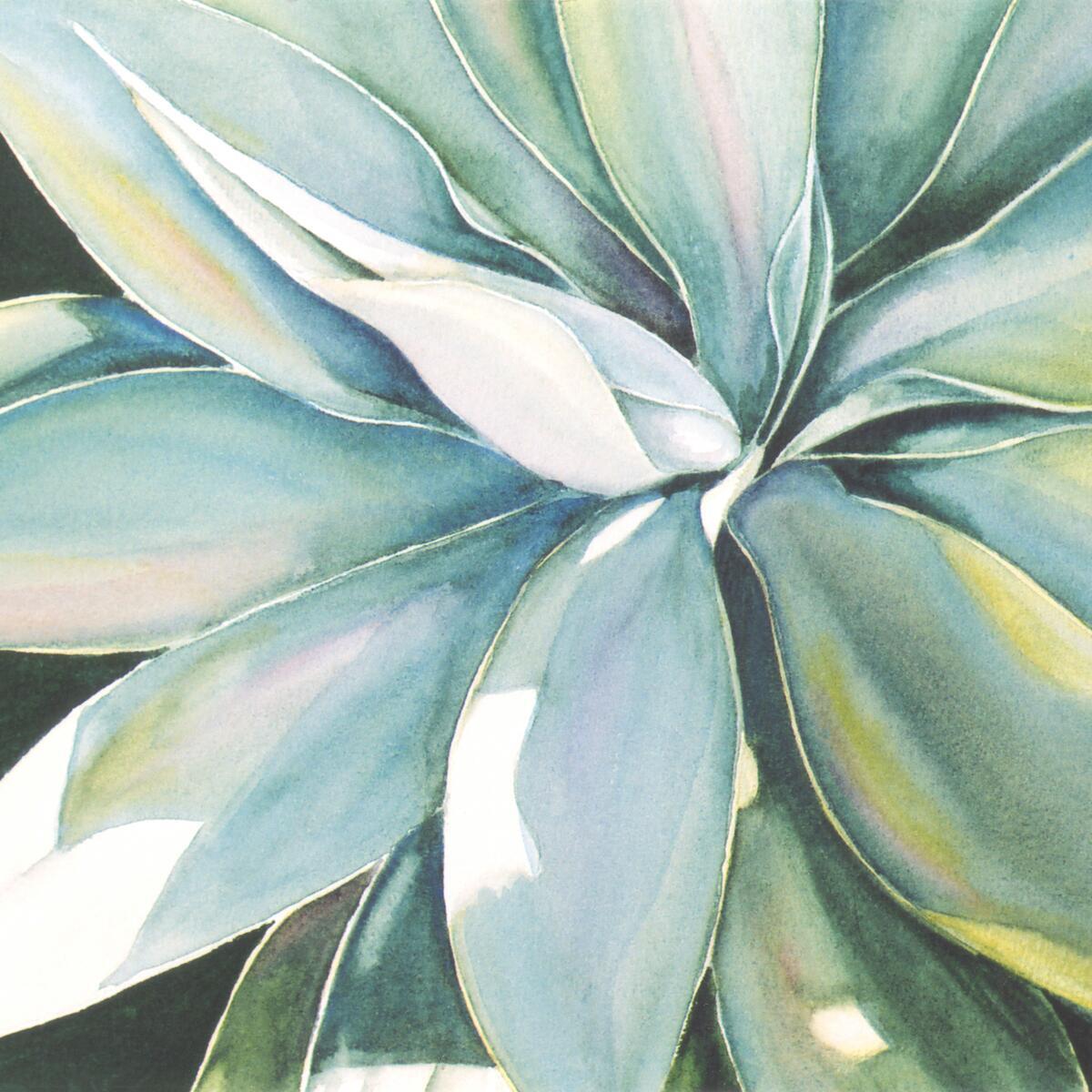 Ceramic Tile Mural Kitchen Backsplash – Agave – Plants Floral Flowers Artwork