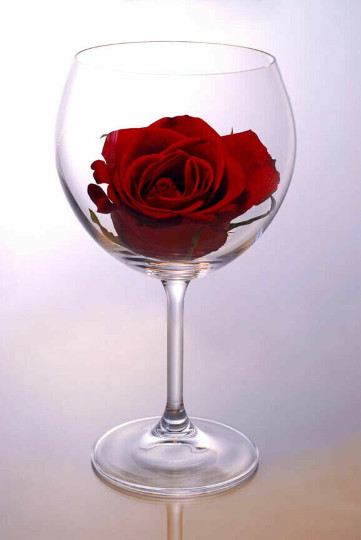 red rose inside wine glass romance love ceramic tile mural backsplash
