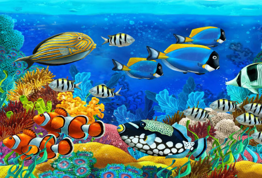 Tropical Fish in exotic ocean seascape coral reef ceramic tile mural backsplash