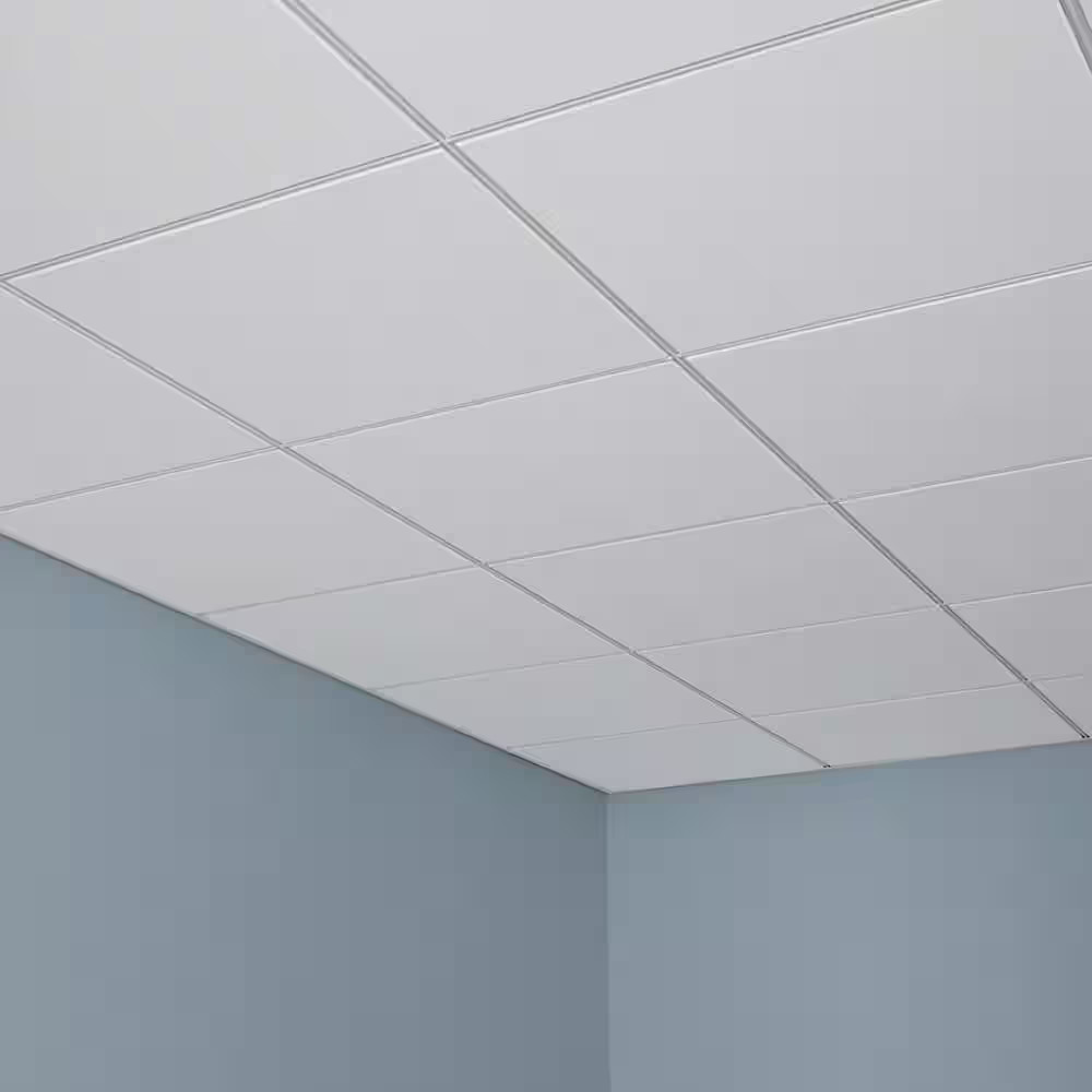 2 Ft. X 2 Ft. Mars White Fineline Beveled Edge Lay-In Ceiling Tile, Case of 12 (