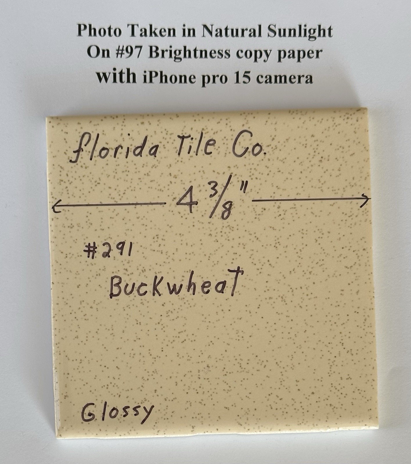 1 pc. Buckwheat 4-3/8″ Glossy Ceramic Tile by Florida Tile Co. NOS, Speckled