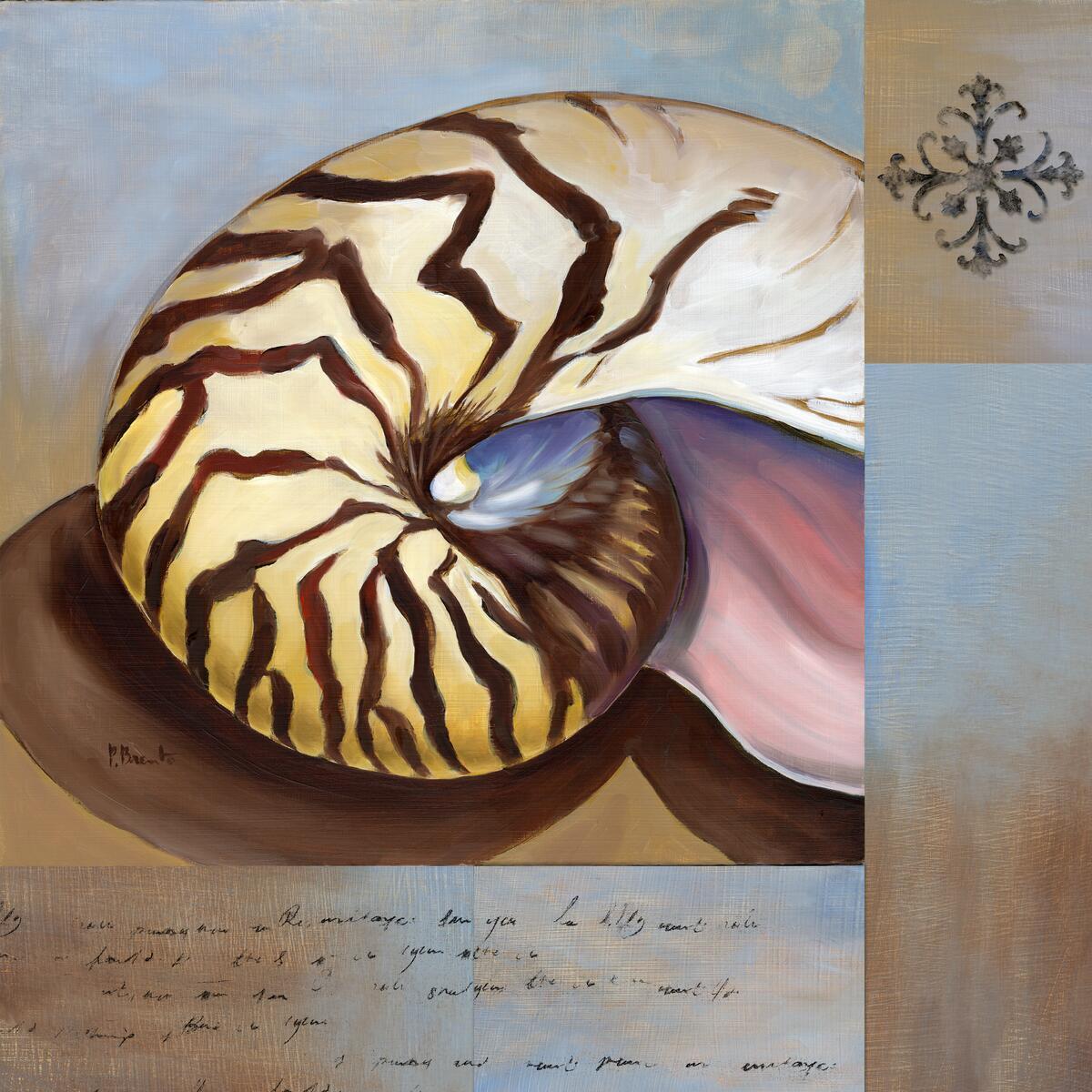 Ceramic Backsplash Tile Mural Sea Shell Themed – Nautilus Collage