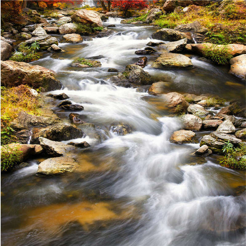 Natural Clear River Rock 3D Floor Mural Photo Flooring Wallpaper Home Printing