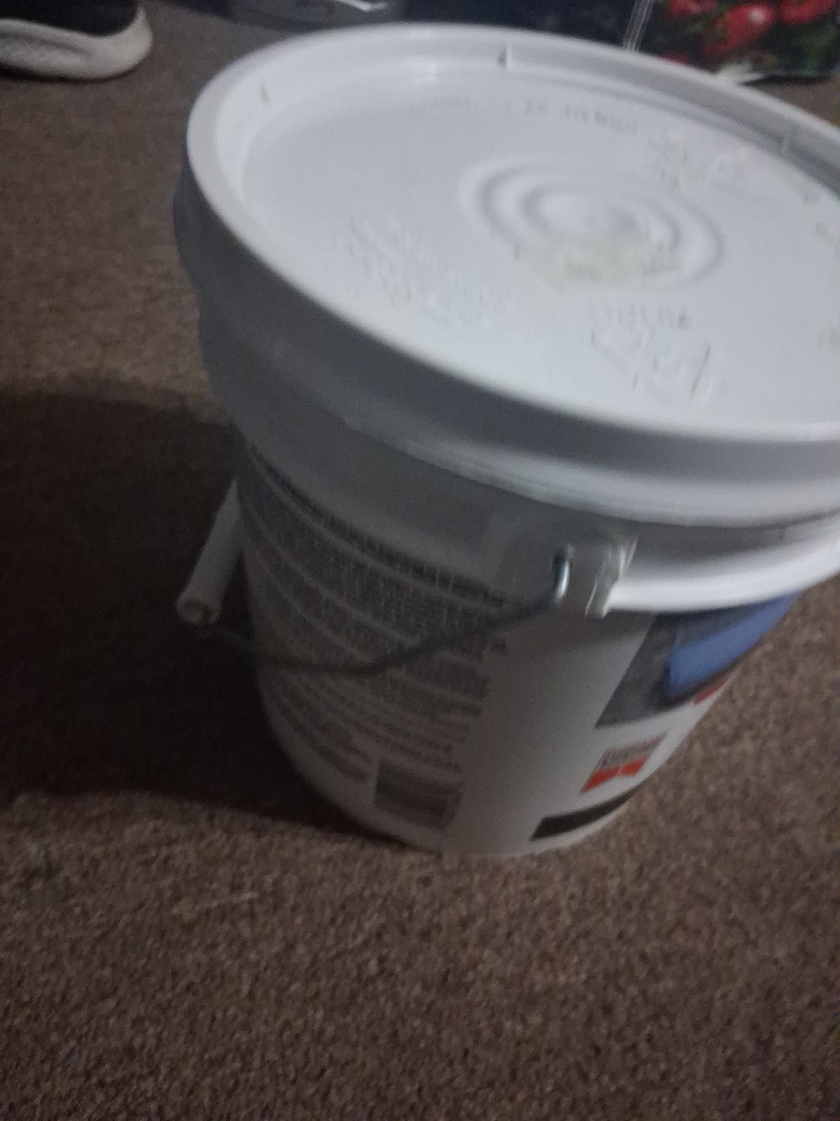 Custom Building Products Multi-Surface Bonding Primer (MBP) – 1 Gallon Sealed!