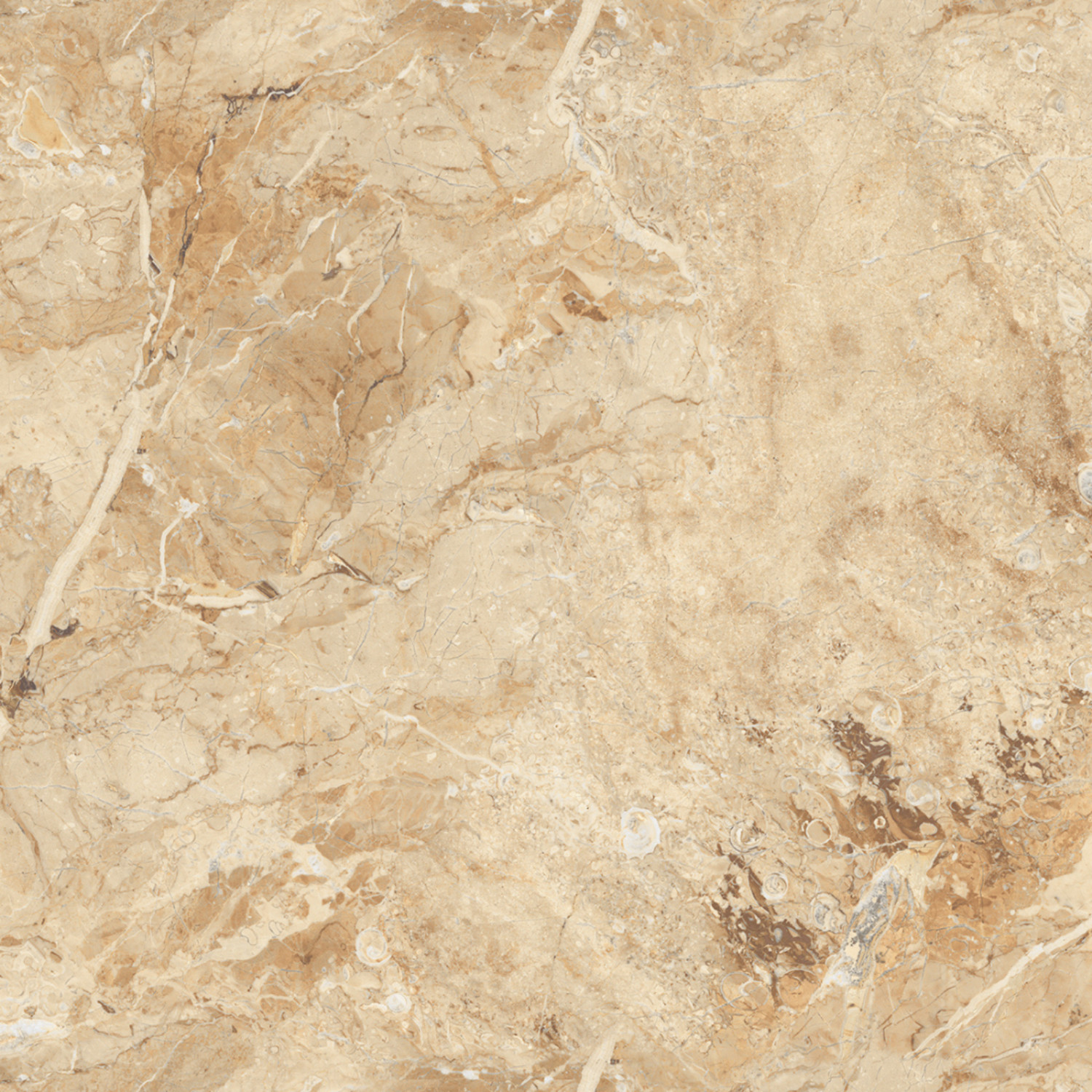My Luxury Flooring MK Glossy Endmatch 45 Porcelain Floor Tiles – 24 x 48 In Tile