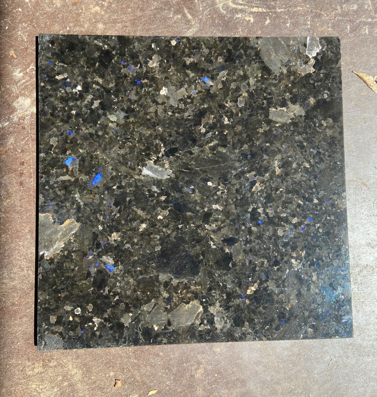 Rare Galactic Blue Granite Tile 12″ x 12″ Polished Natural Stone Floor Wall New
