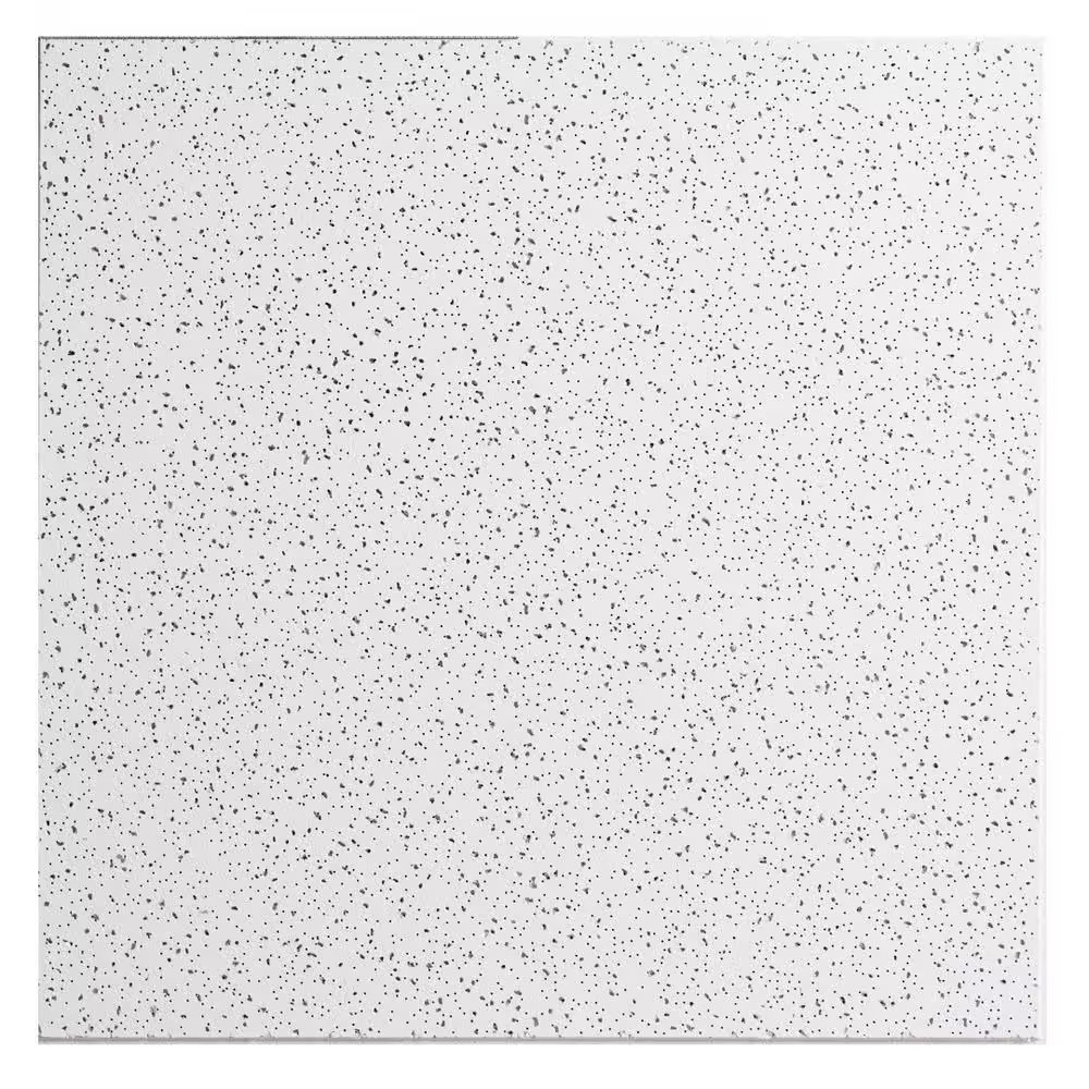 2X2 Ft. Radar Basic White Square Edge Lay-In Ceiling Tile Case of 4 (16 Sq. Ft.)