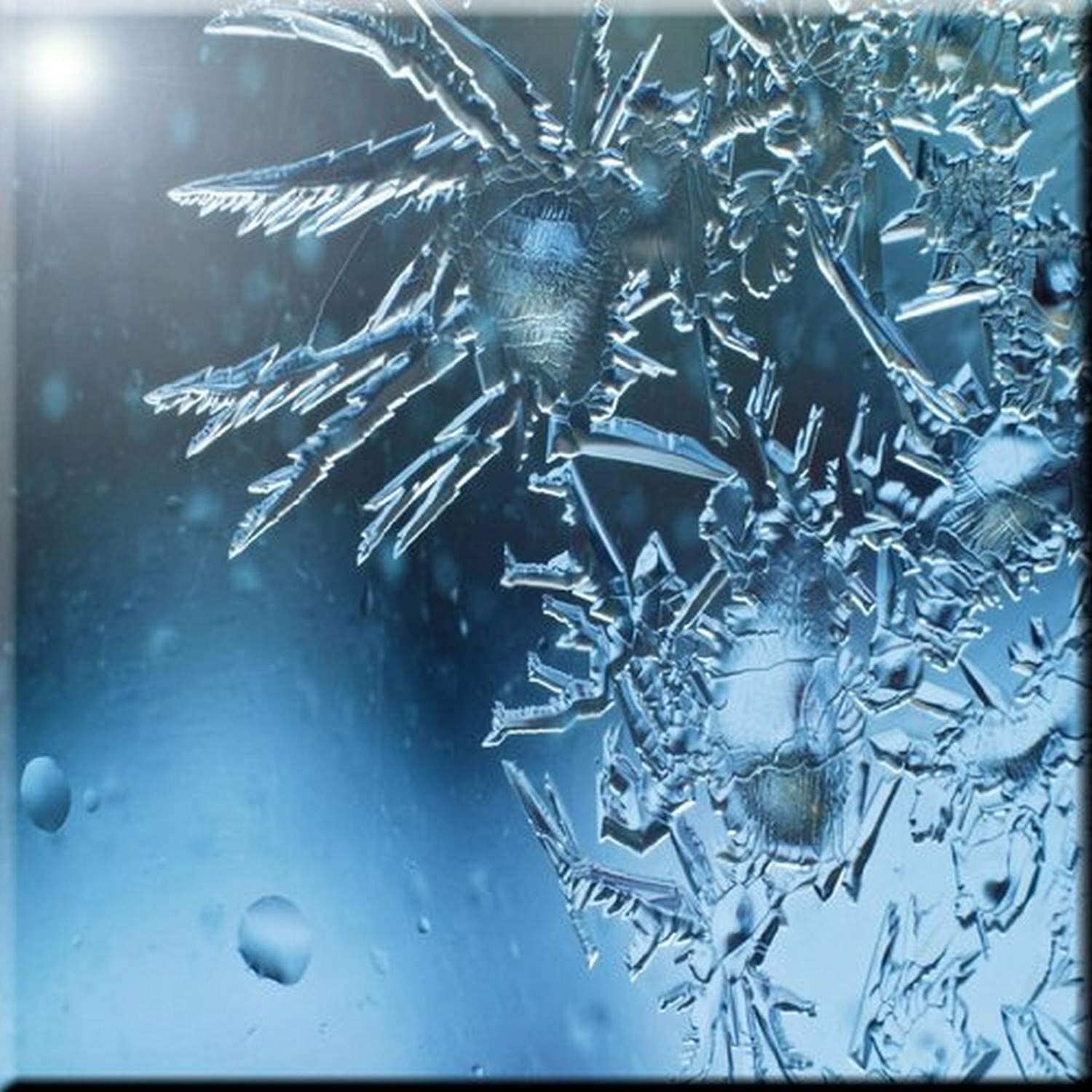 Rikki Knight Ice Crystals on Glass Window Design Art Ceramic Tile, 4 by 4-Inch