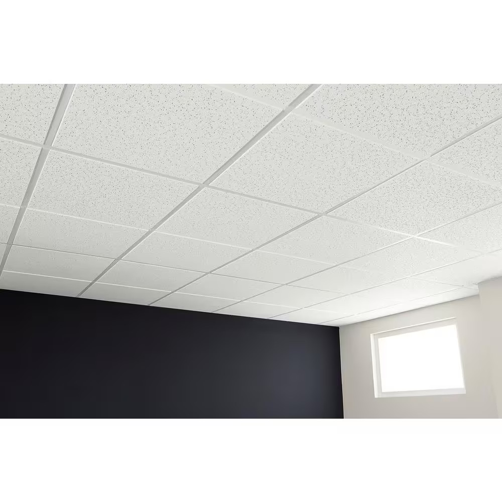 Scored 24 In. X 48 In. Tegular Ceiling Tile (80 Sq. Ft./Case)
