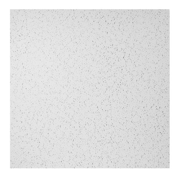 Genesis 74100 Printed Pro Ceiling Tile, 24 In W X 24 In L, 12 Pk