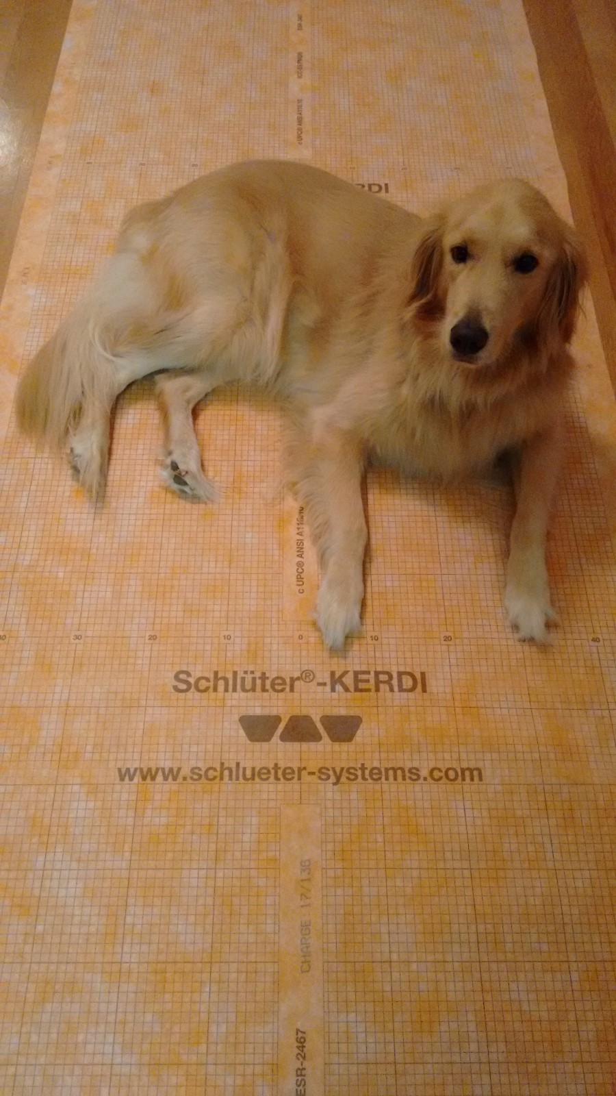 Schluter Kerdi W-proof Membrane By the Square Foot ~You Pick Size You Need!!~