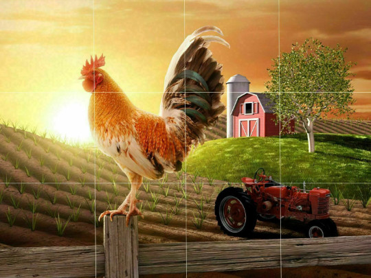 Rising sun country farm morning crowing rooster ceramic tile mural backsplash