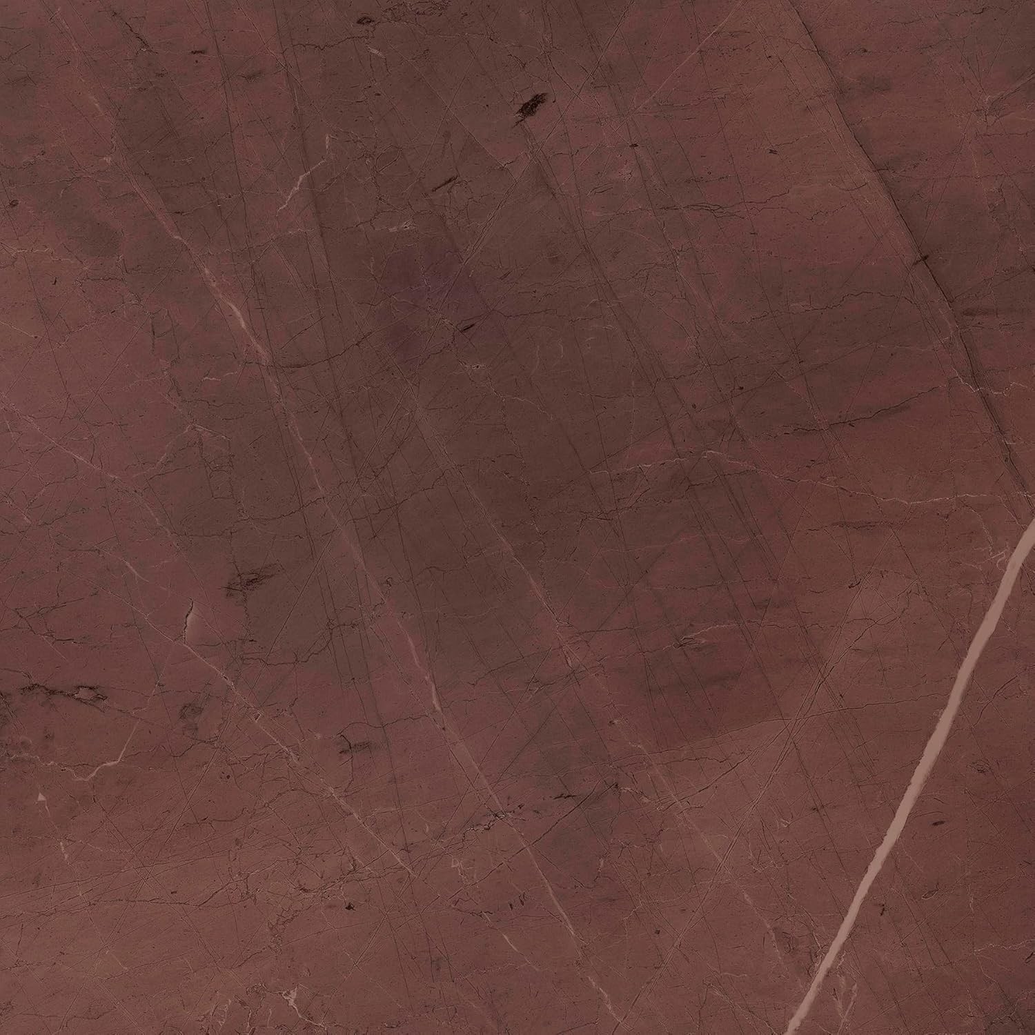 x Chris Loves Julia Bonneville Oxblood Peel and Stick Floor Tiles, FP6333