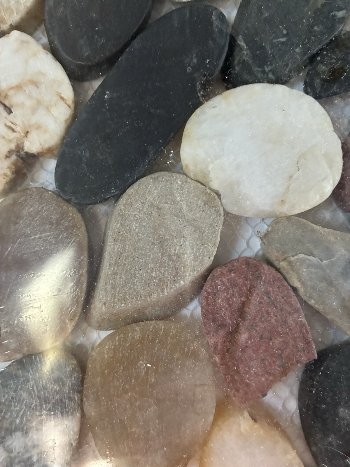Pebblino Mosaici Flat Mixed Honed Pebble 12×12 #100132174 Lot of 4