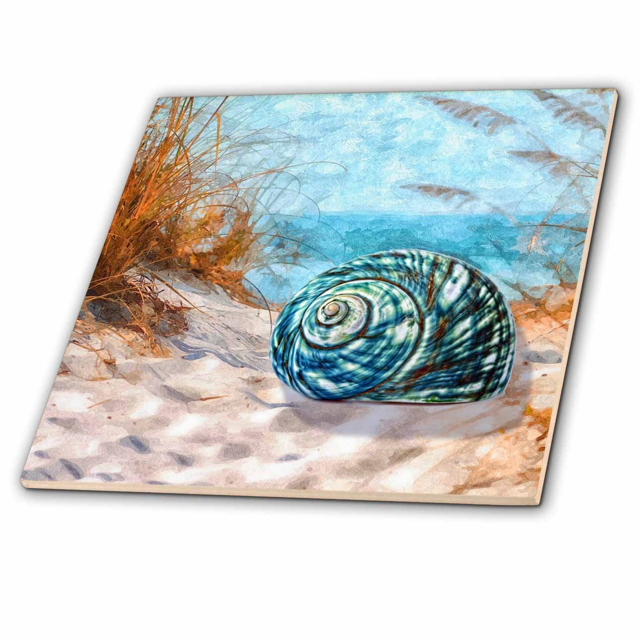 3dRose Blue Seashell Beach Ocean Cove Summer Grasses Ceramic Tile (ct_202960_1)