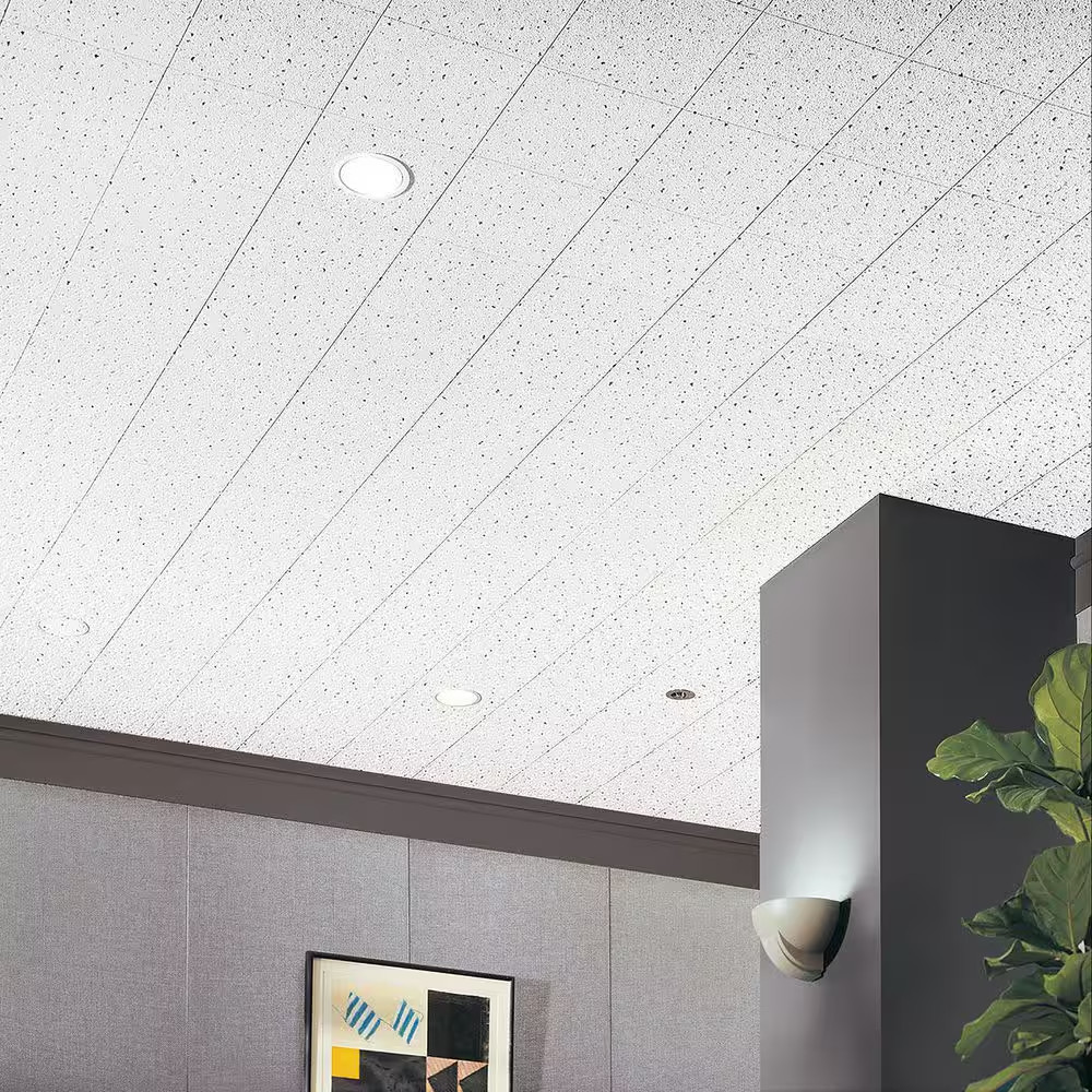 Fine Fissured 1 Ft. X 1 Ft. Beveled Tongue and Groove Ceiling Tile (40 Sq. Ft./C
