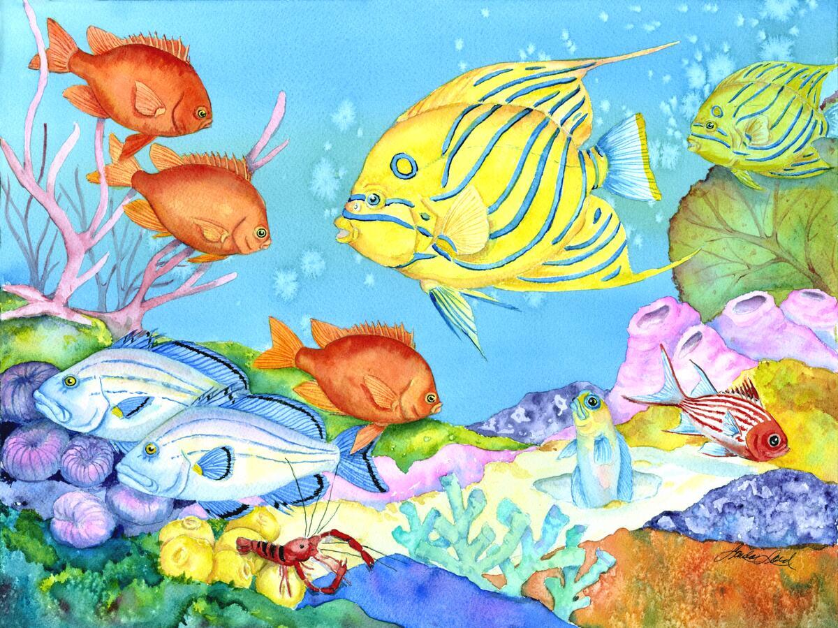 Ceramic Backsplash Tile Mural Fishing Saltwater Fish – Striped Angel Fish